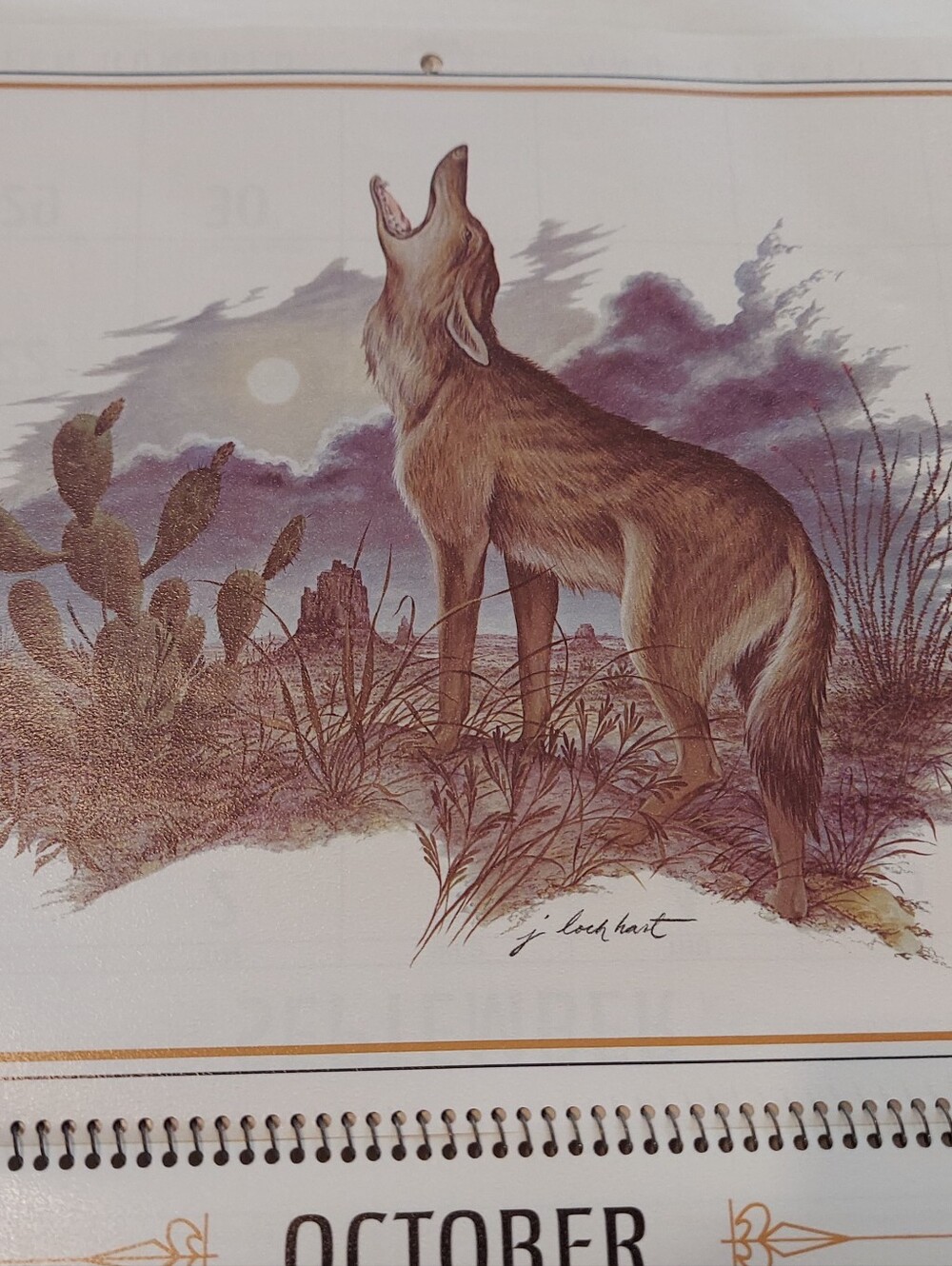 Vntg 1986 Wildlife Collection Callender, James Lockhart-Artist & Conservationist - Picture 10 of 16